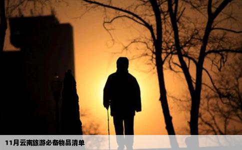 11月云南旅游必备物品清单