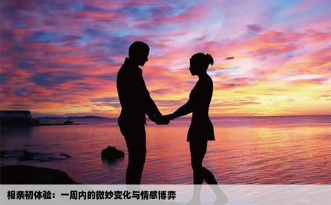 相亲初体验：一周内的微妙变化与情感博弈