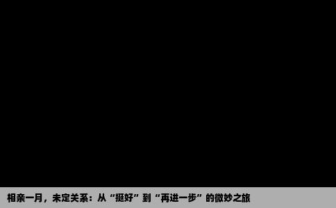 相亲一月，未定关系：从“挺好”到“再进一步”的微妙之旅