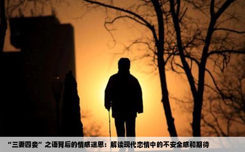 “三妻四妾”之语背后的情感迷思：解读现代恋情中的不安全感和期待