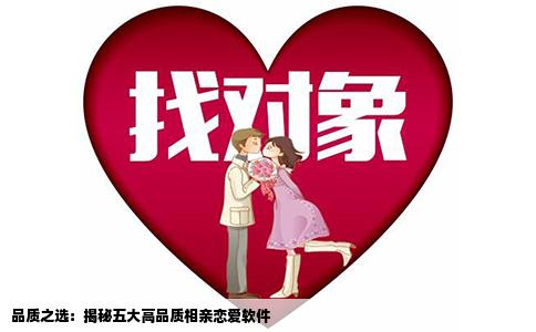 品质之选：揭秘五大高品质相亲恋爱软件